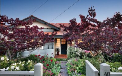 Avoid the Pitfalls: Find a Home with the Right Low-Maintenance Garden for You